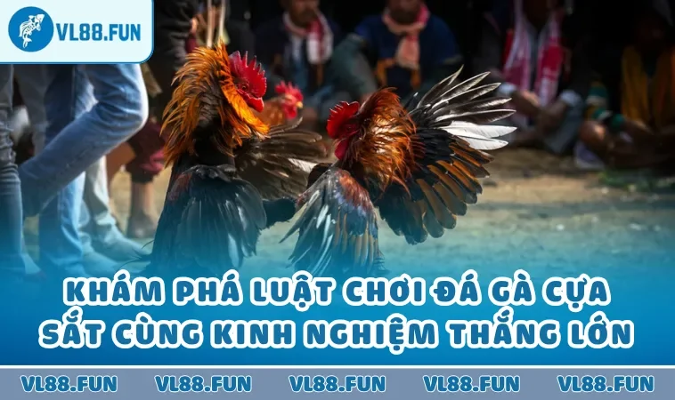 Khám Phá Luật Chơi Đá Gà Cựa Sắt Cùng Kinh Nghiệm Thắng Lớn
